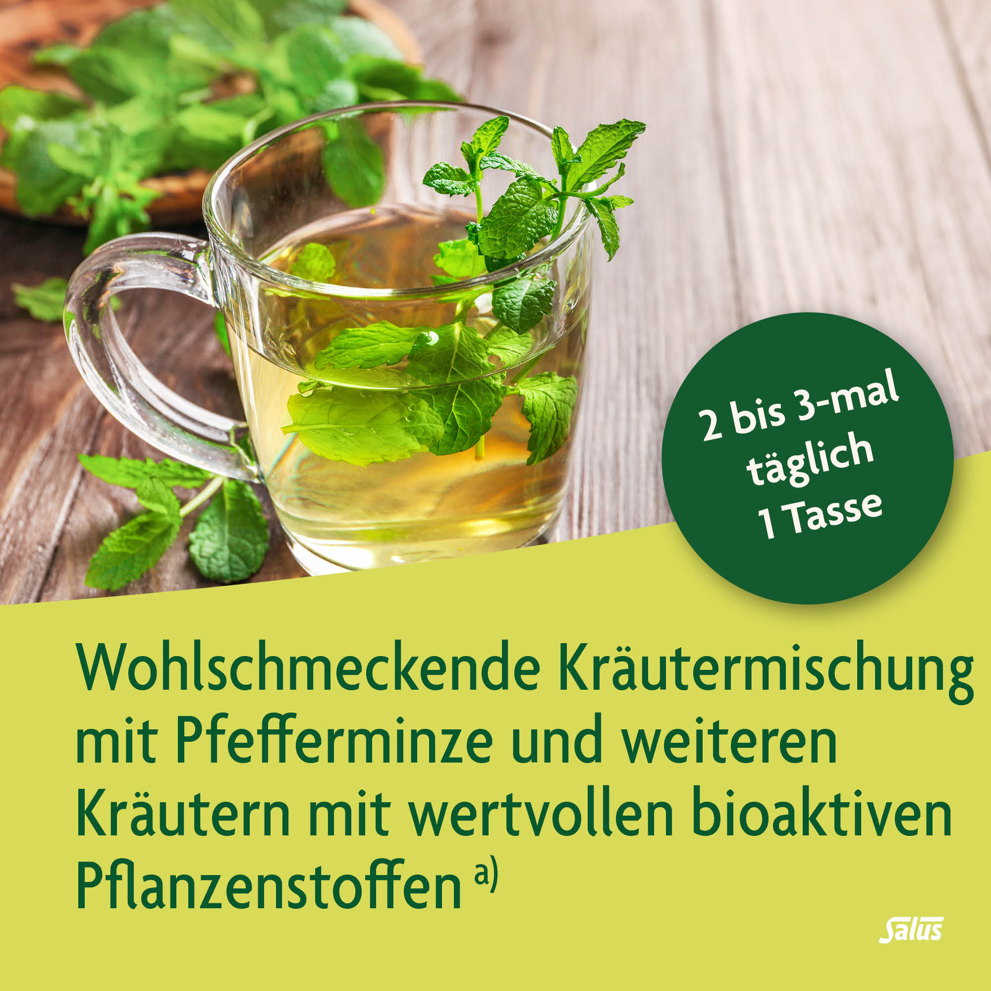 SALUS Magen-Darm-Tee, Bild 3 von 5