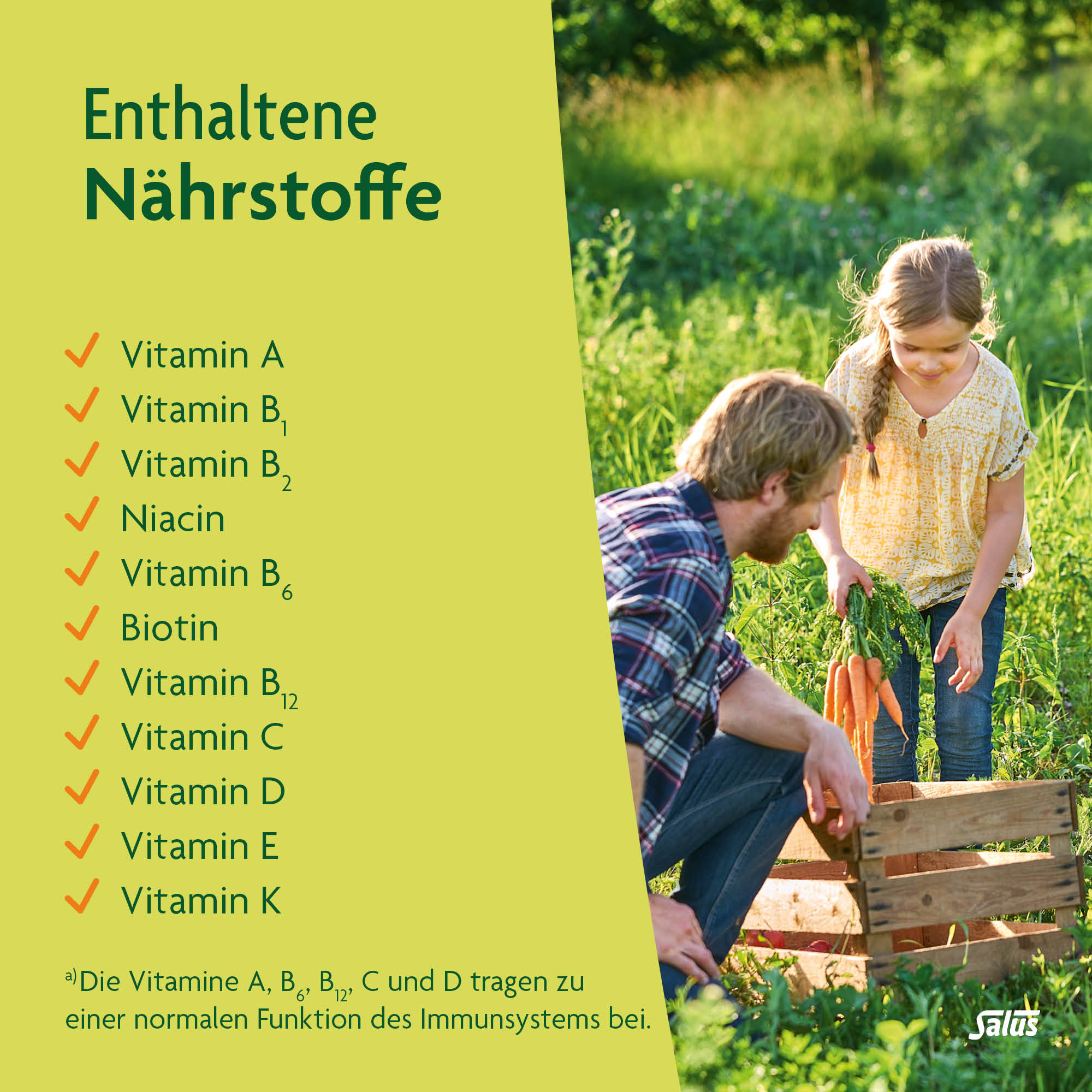 SALUS Multi-Vitamines énergétique, image 4 sur 6