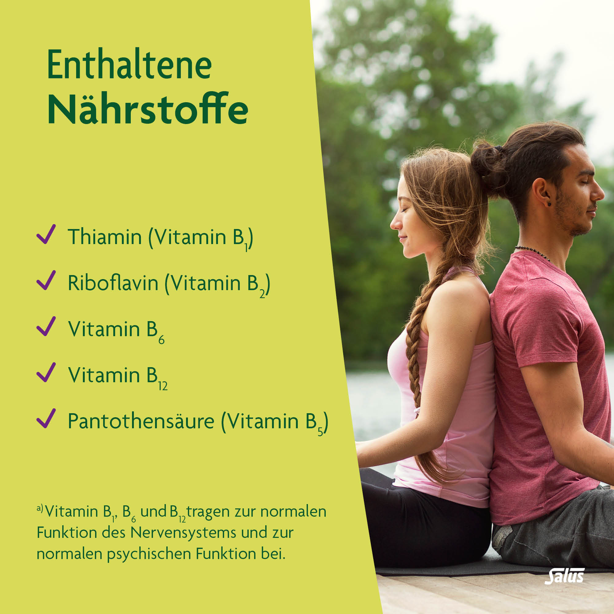 SALUS Neuro Balance ashwagandha, image 4 sur 6