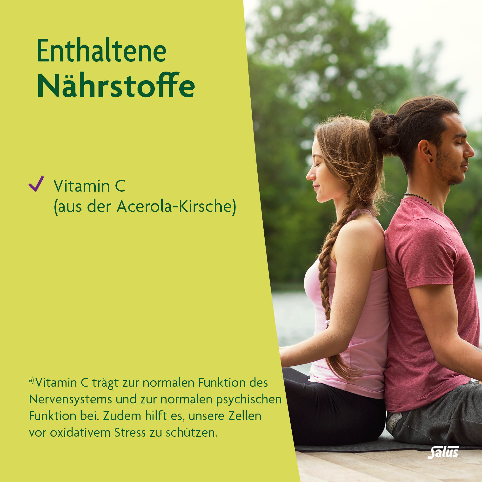 SALUS Neuro Balance ashwagandha tisane, image 5 sur 6