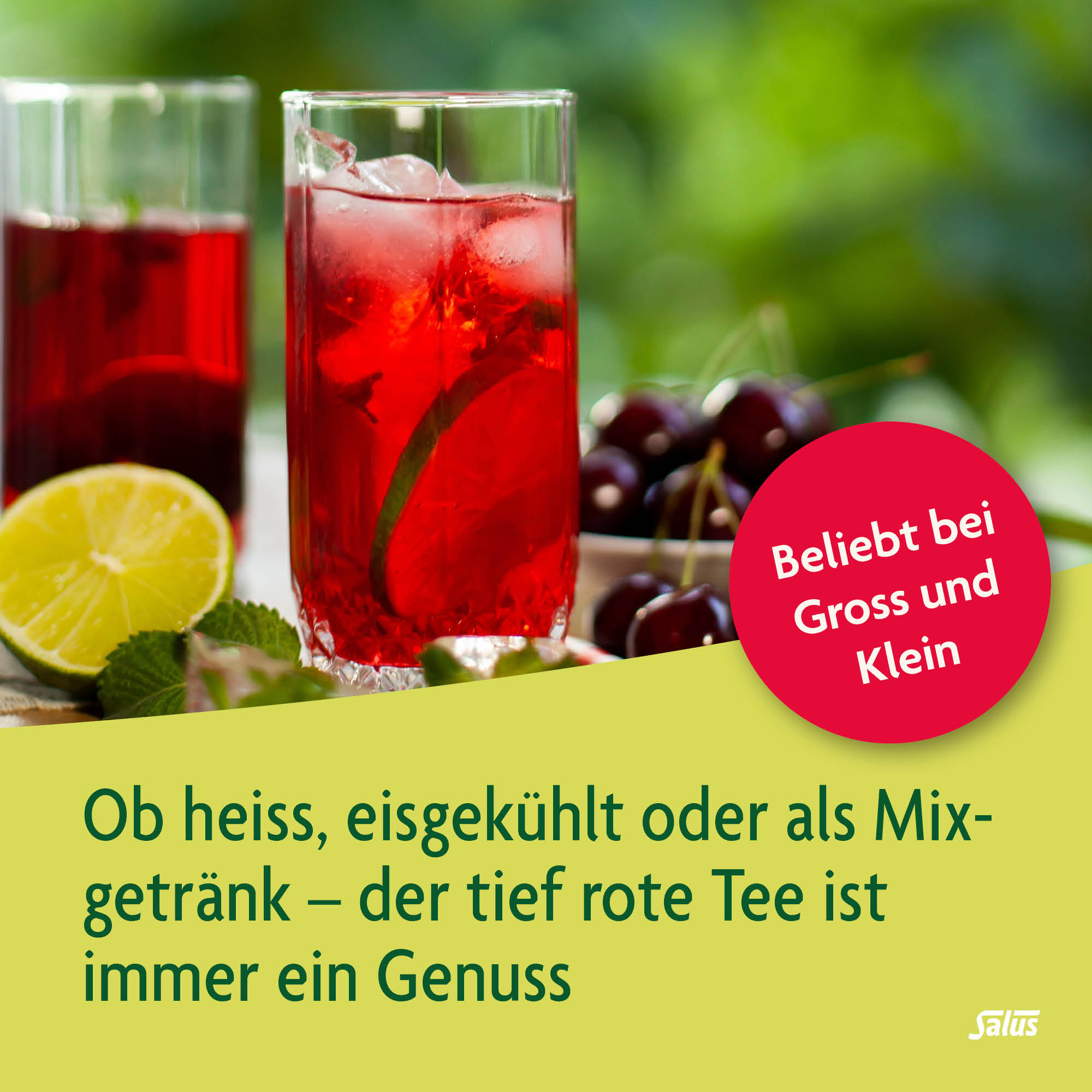 SALUS Paradis tisane aux fruits, image 3 sur 5