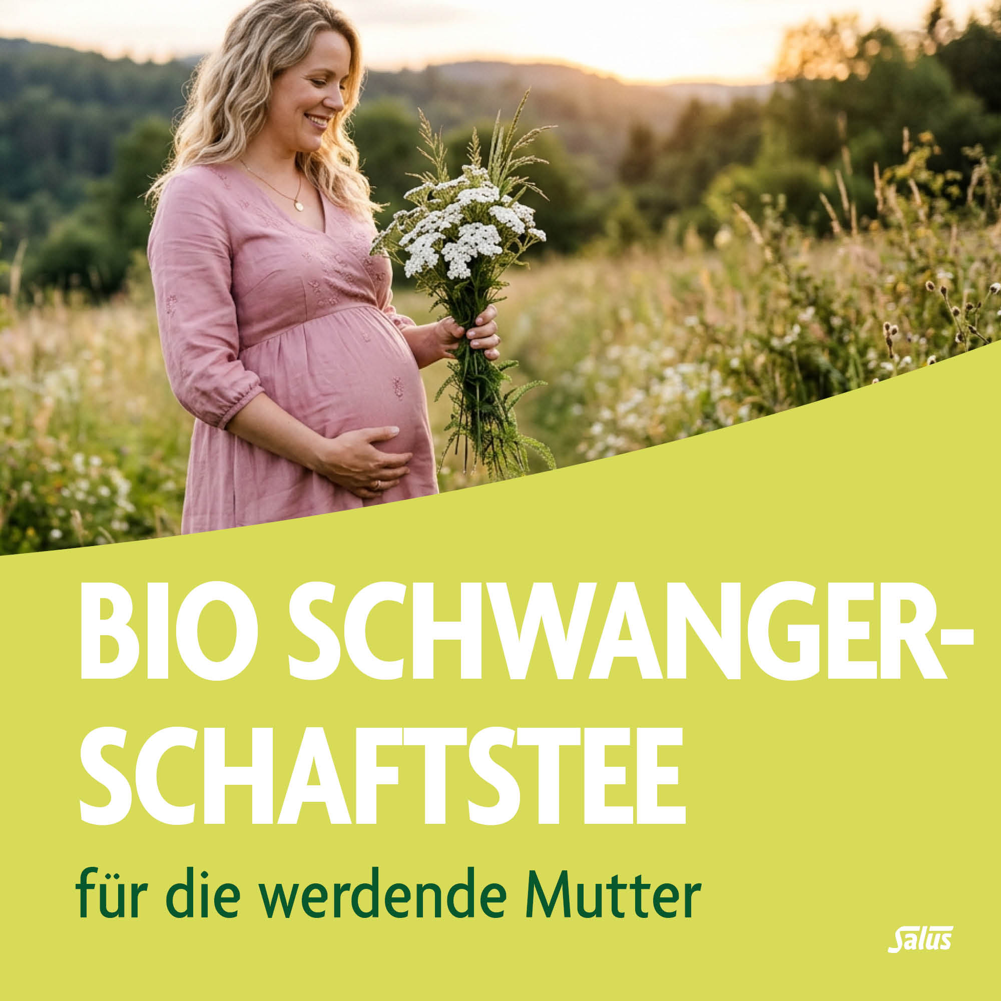 SALUS Schwangerschafts Tee, Bild 2 von 5