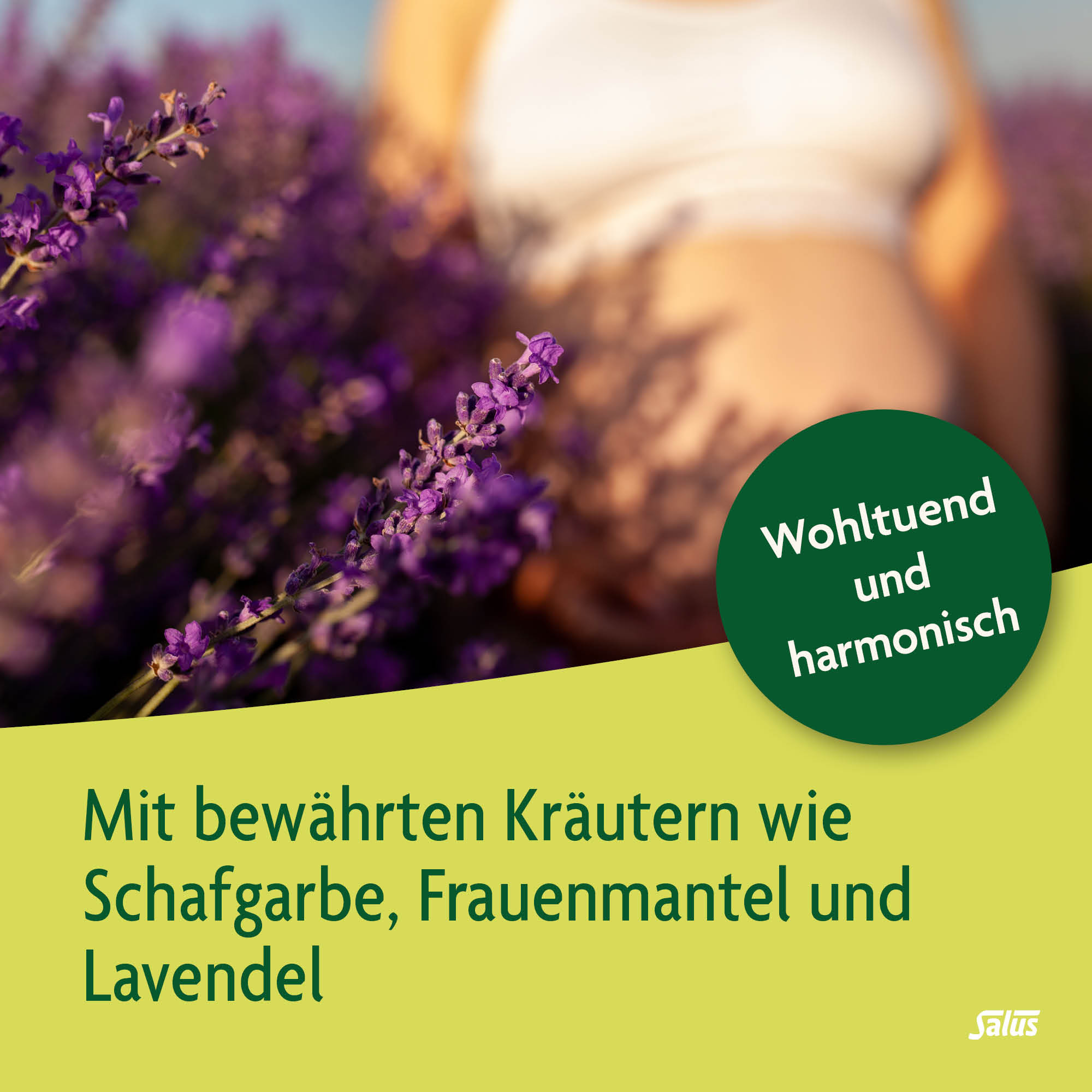 SALUS Schwangerschafts Tee, Bild 3 von 5