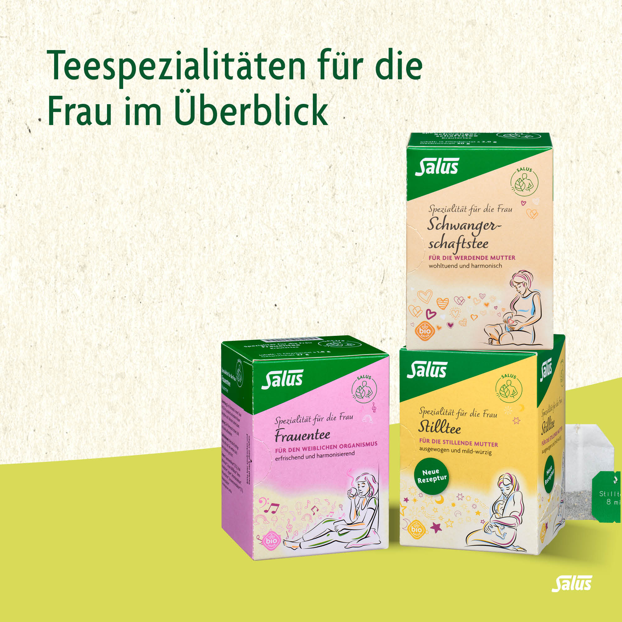 SALUS Stilltee, Bild 4 von 5