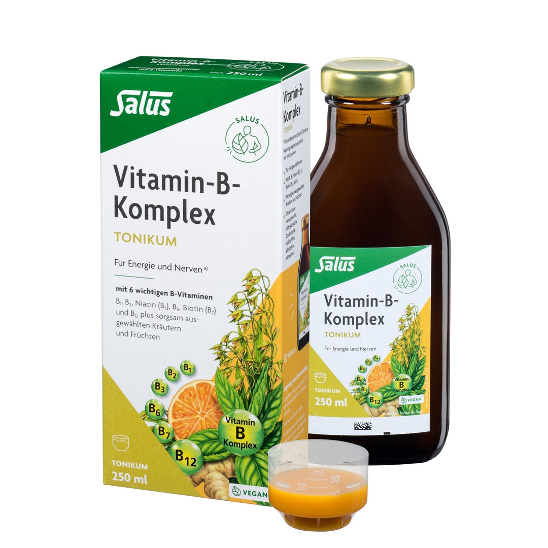 SALUS Vitamin-B-Komplex