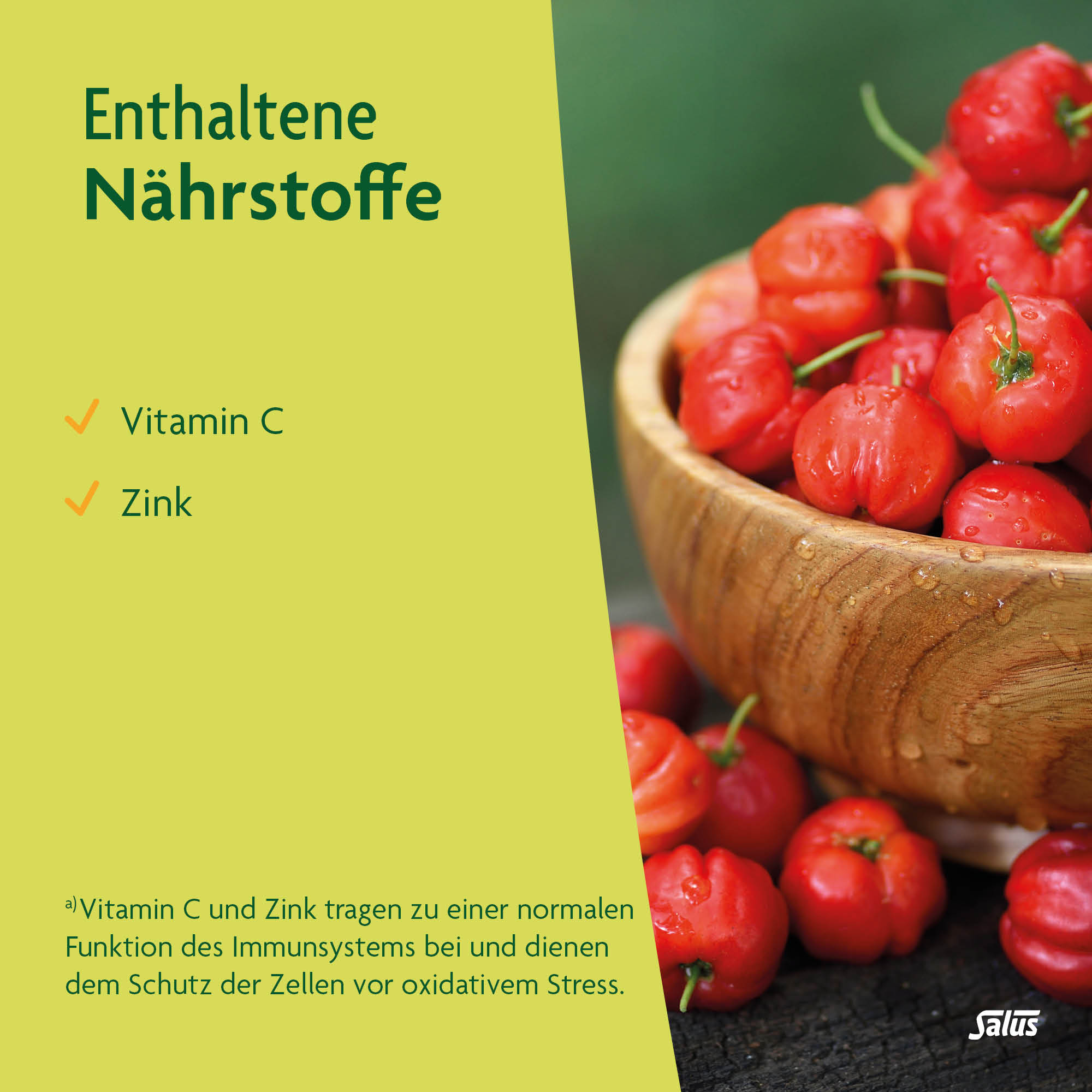 SALUS Vitamine C 300 dépôt + zinc, image 5 sur 6