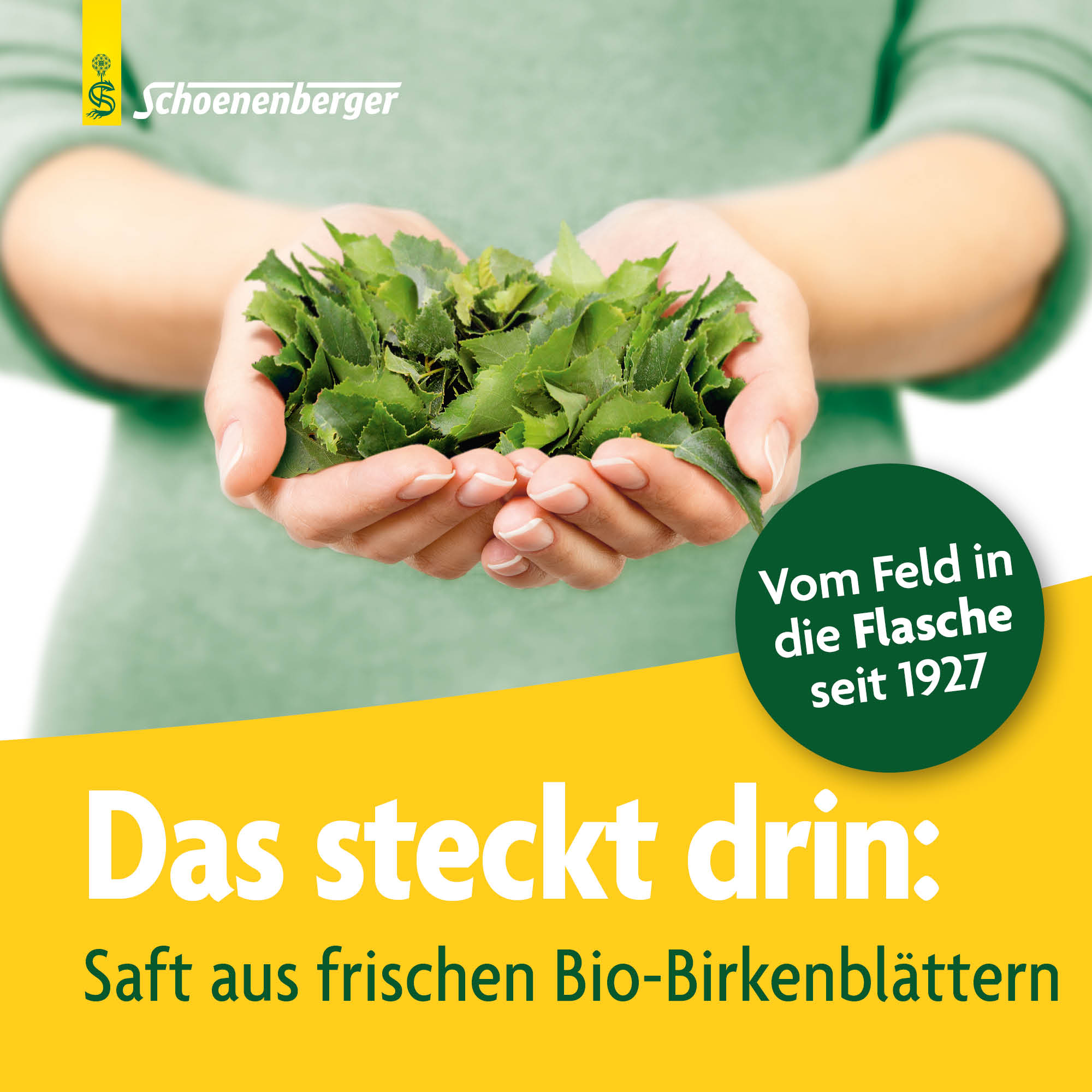 SCHOENENBERGER Bouleau boisson de plantes fraîches, image 3 sur 6