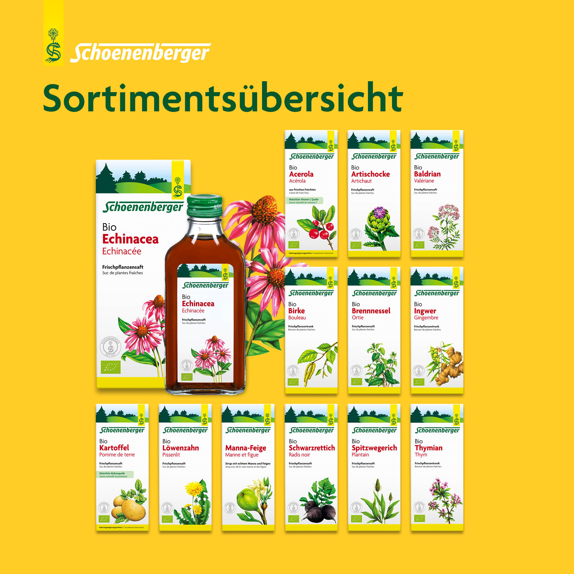 SCHOENENBERGER Bouleau boisson de plantes fraîches, image 5 sur 6