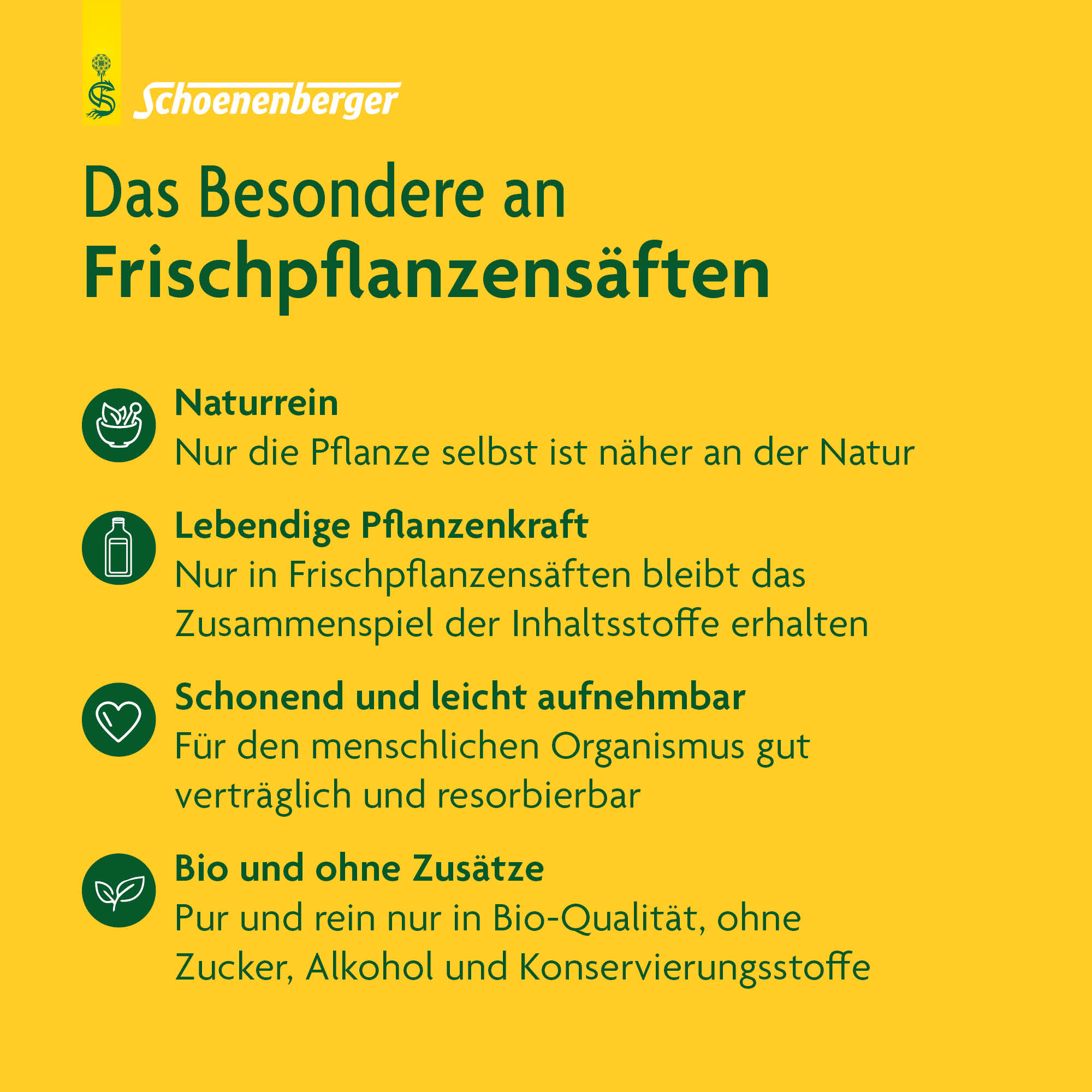 SCHOENENBERGER Spitzwegerich Frischpflanzensaft, Bild 5 von 6