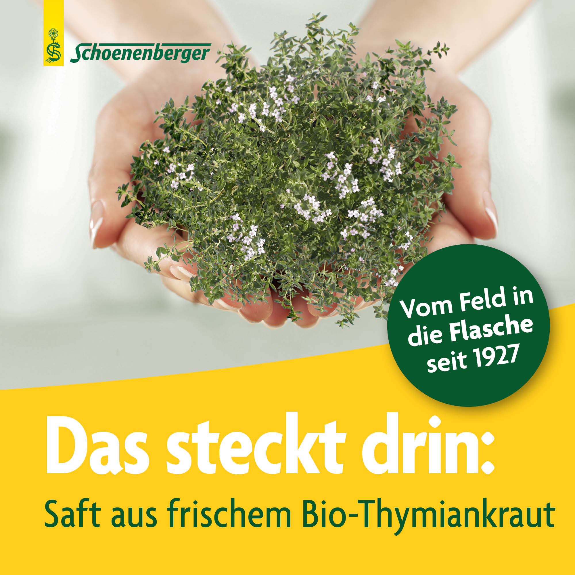 SCHOENENBERGER Thymian Frischpflanzentrunk, Bild 3 von 6