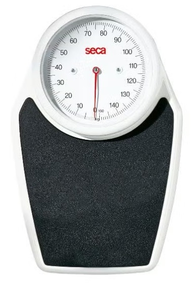 Seca Personenwaage mechanisch, Hauptbild