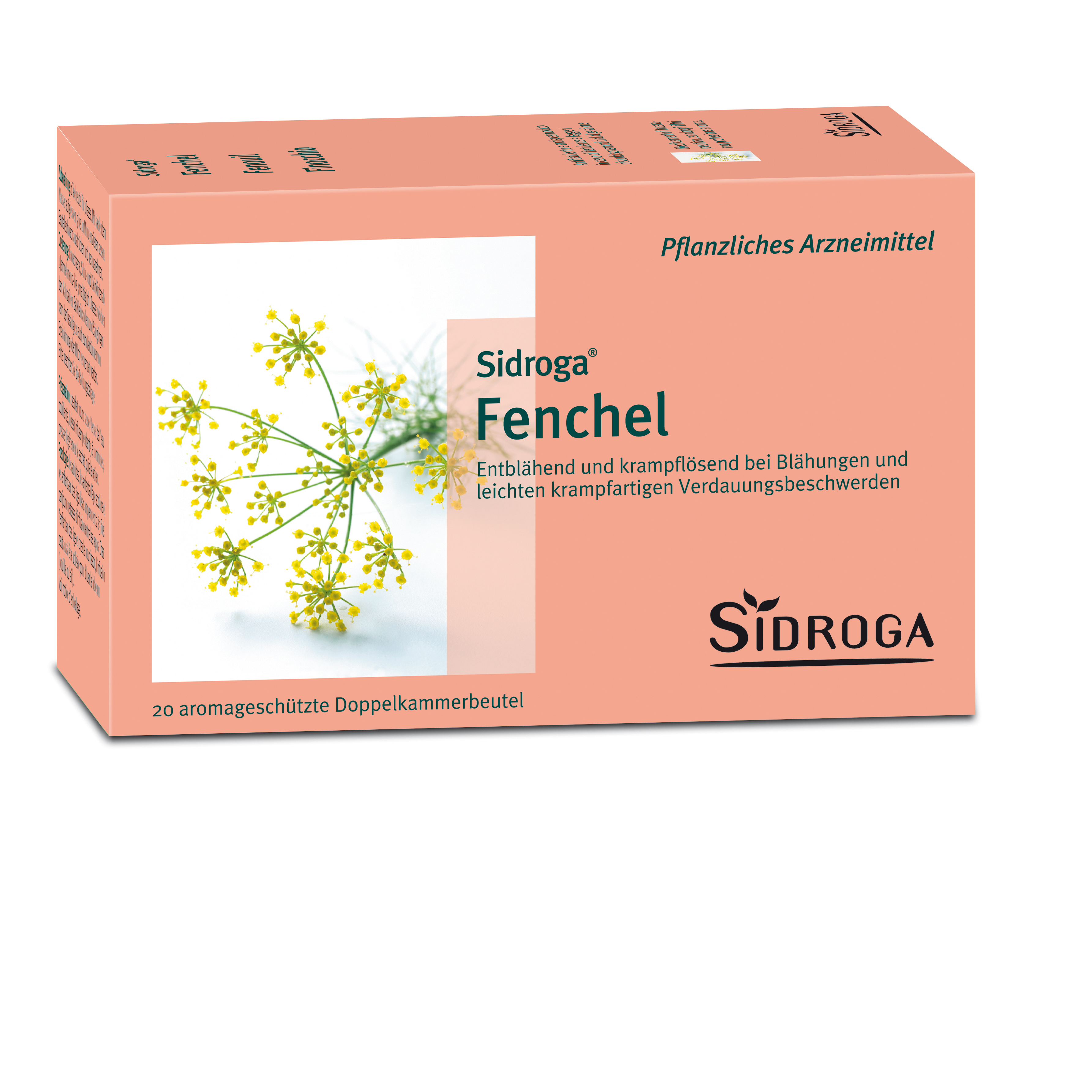 Sidroga Fenchel, Hauptbild