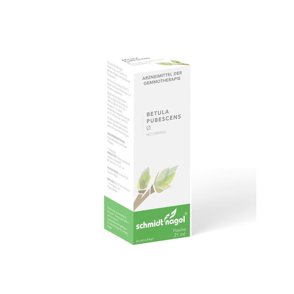 SCHMIDT-NAGEL Betula pubescens