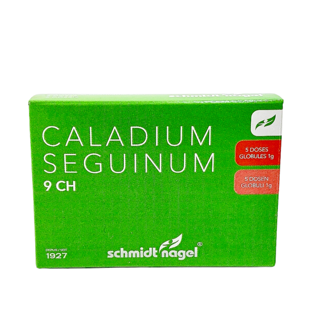 SCHMIDT-NAGEL Caladium seguinum 9 CH, Hauptbild