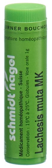 SCHMIDT-NAGEL lachesis muta MK, image principale