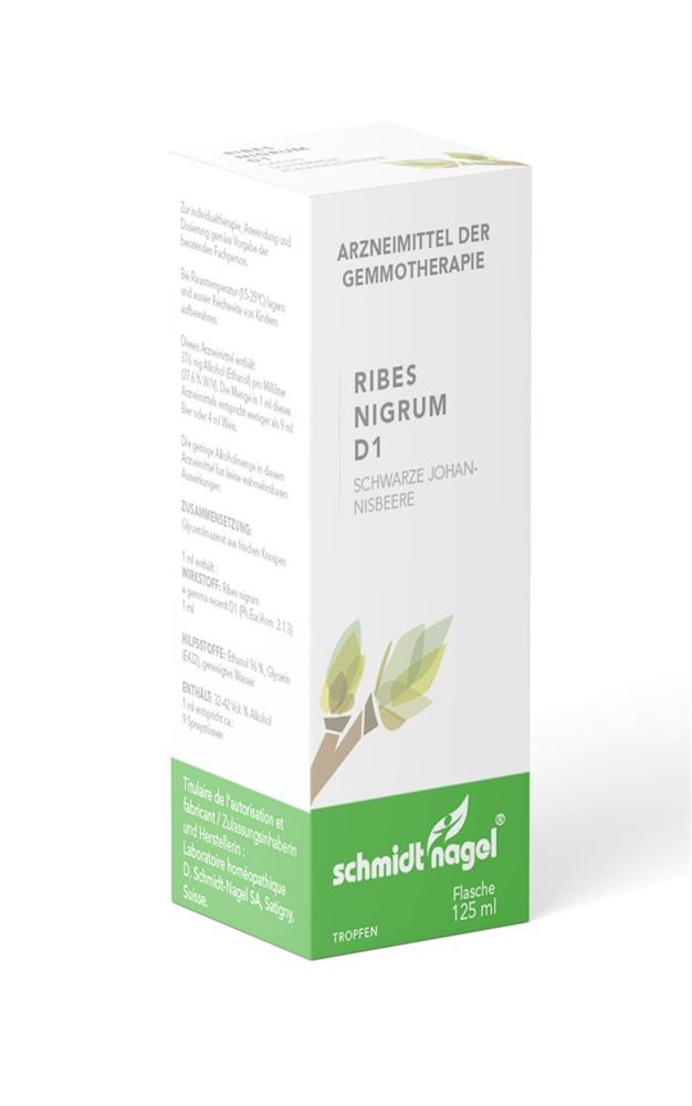 SCHMIDT-NAGEL ribes nigrum BG 1 DH, image principale