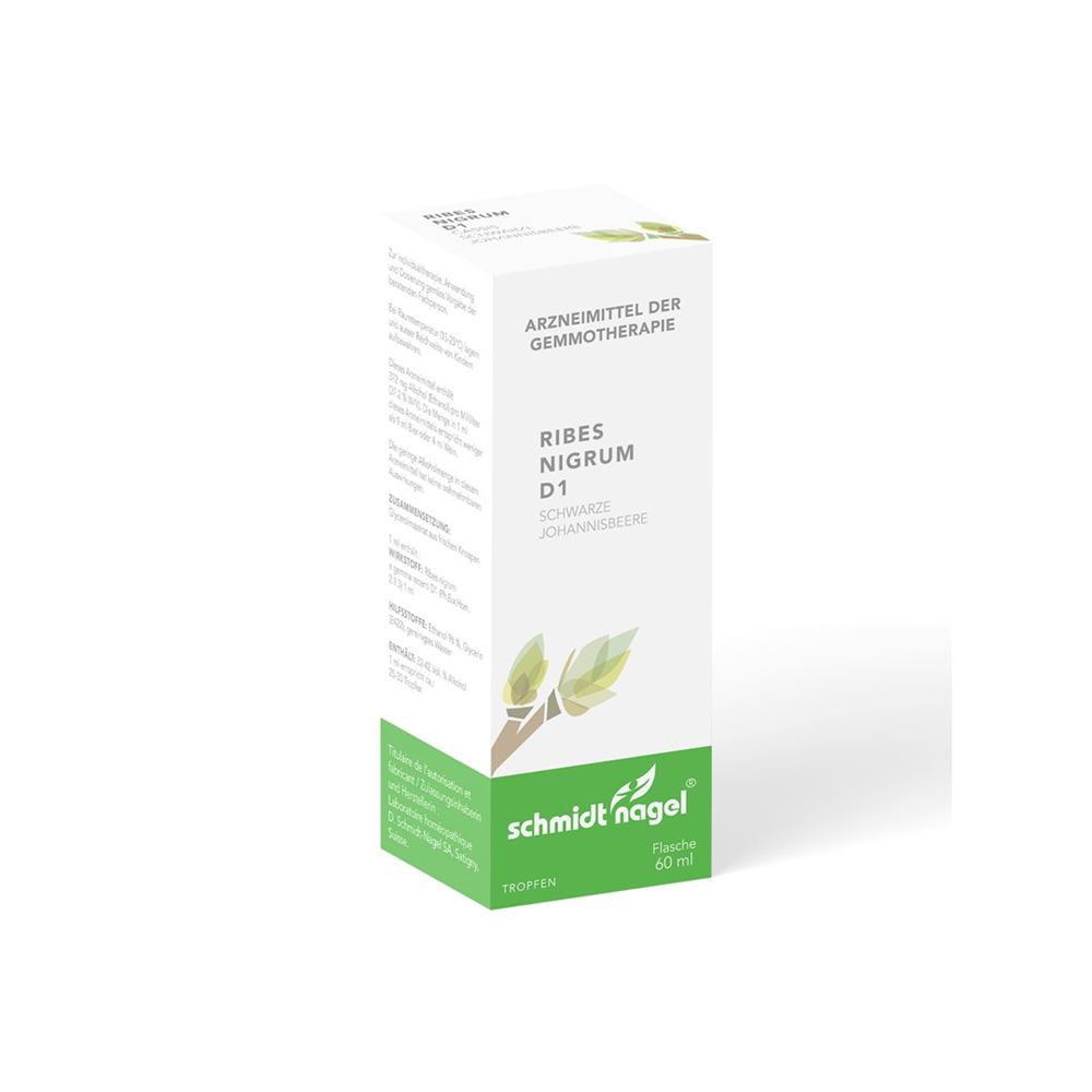 SCHMIDT-NAGEL ribes nigrum BG 1 DH, image principale