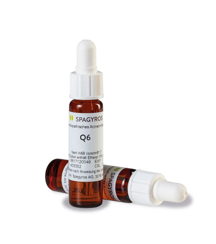 Spagyros Arsenicum album 6 Q, Hauptbild