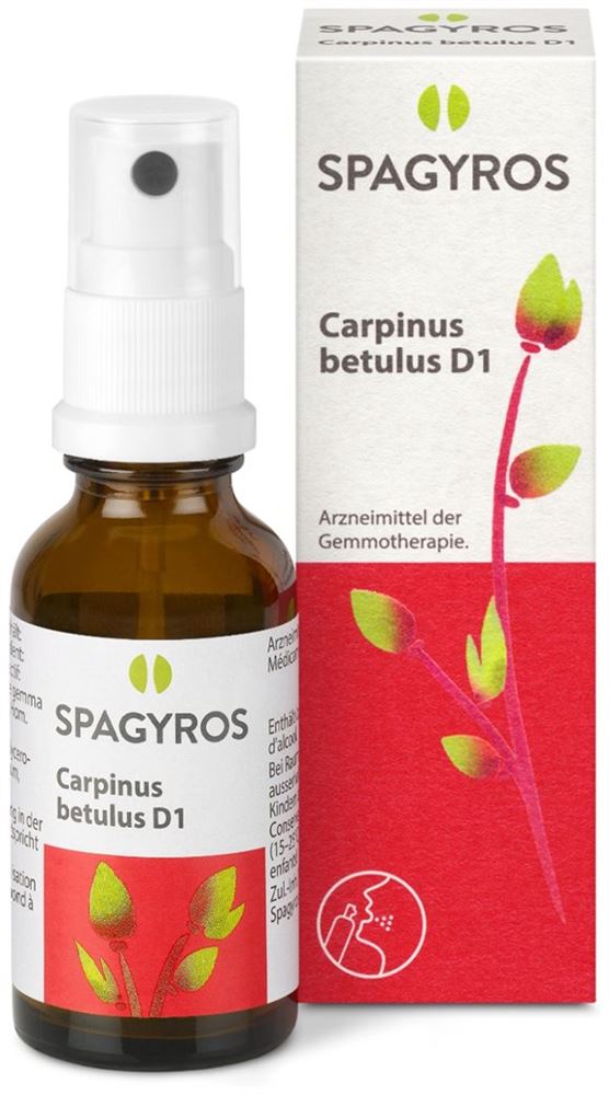 Spagyros Carpinus betulus 1 D, Bild 2 von 2