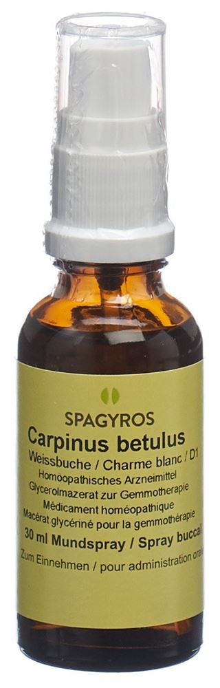 Spagyros Carpinus betulus 1 D, Hauptbild