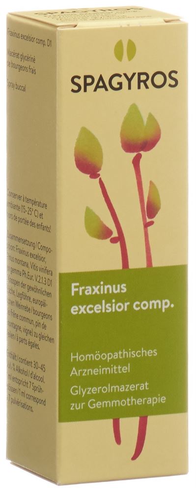 , immagine principale