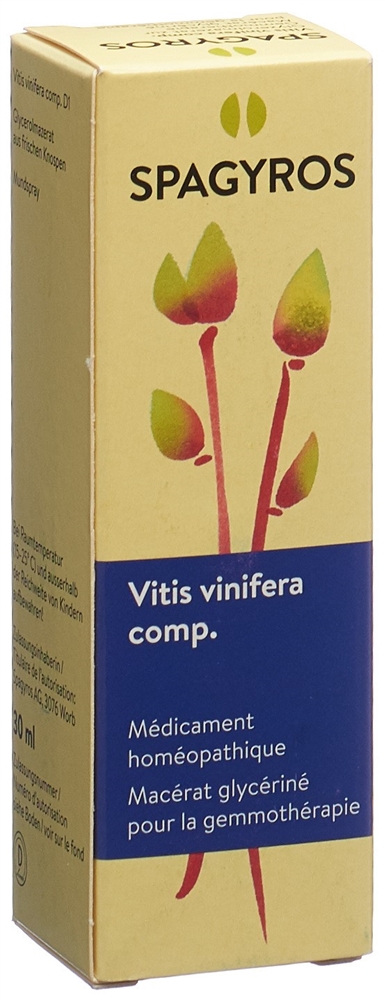 Spagyros Vitis vinifera 1 D, Bild 2 von 3