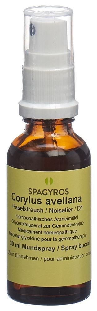 , immagine principale