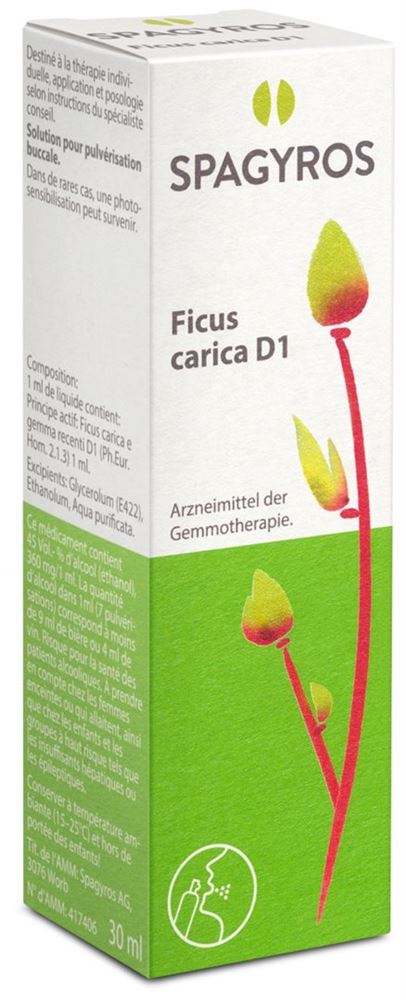 Spagyros ficus carica 1 D, image principale