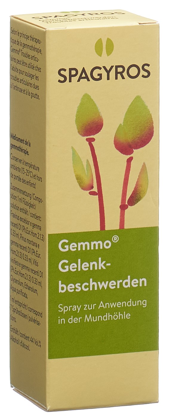 Spagyros Gelenkbeschwerden Mundspray