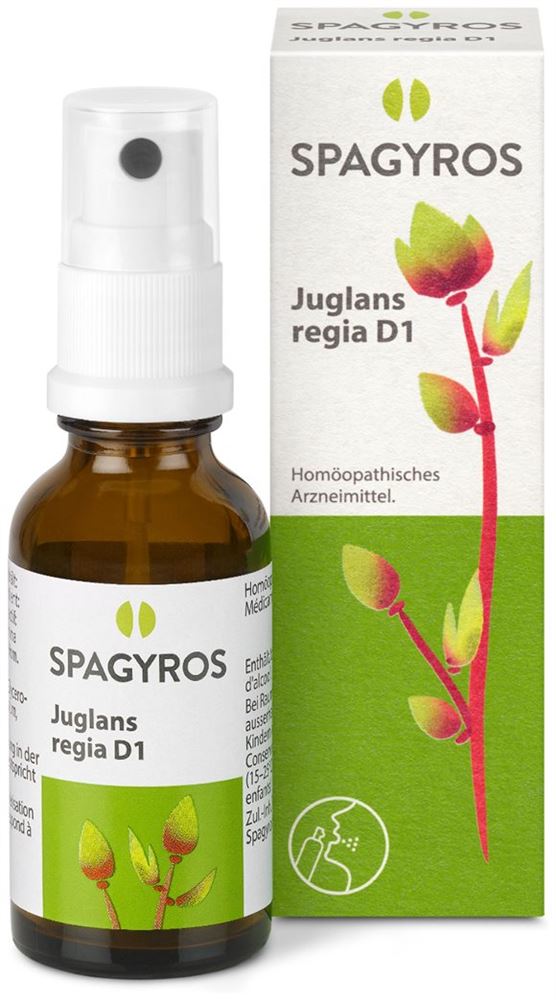 Spagyros Juglans regia 1 D, Bild 2 von 2