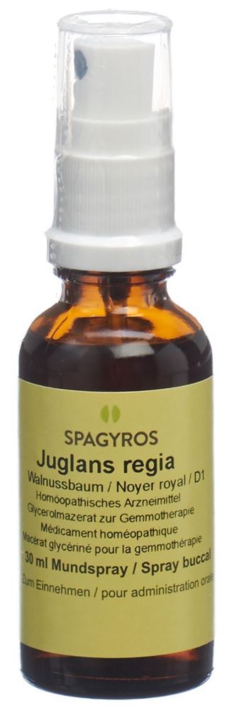 Spagyros juglans regia 1 D, image principale