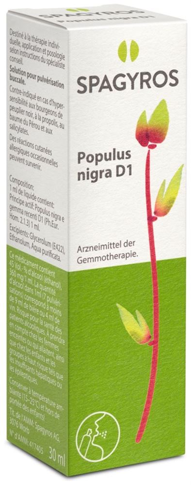 Spagyros Populus nigra 1 D, Hauptbild