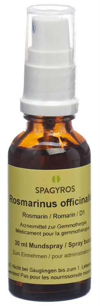 Spagyros Rosmarinus officinalis 1 D, Hauptbild