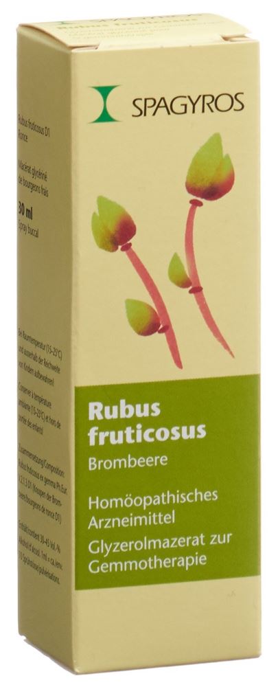 rubus fruticosus