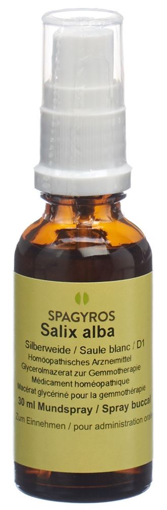 Spagyros salix alba 1 D, image principale