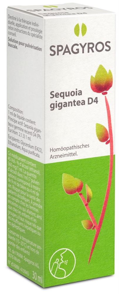 Spagyros sequoia gigantea 4 D