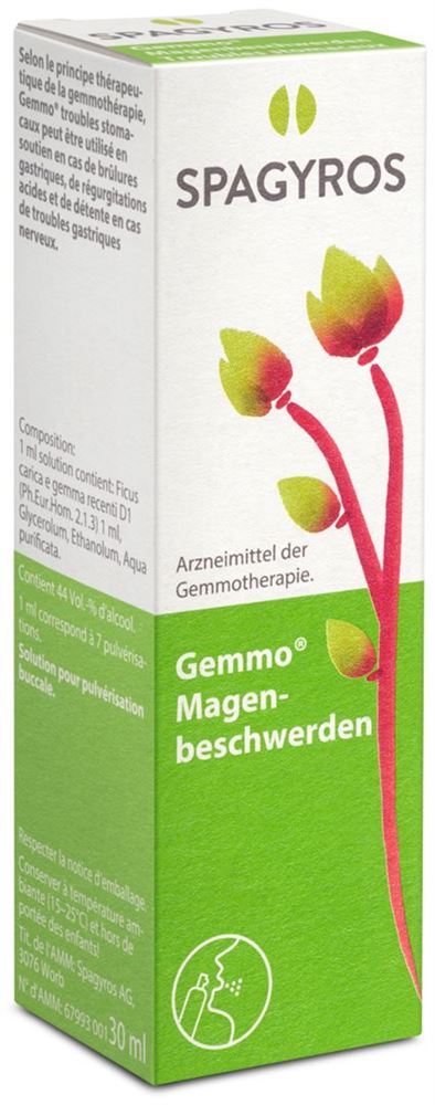 Spagyros troubles stomacaux spray buccal, image principale