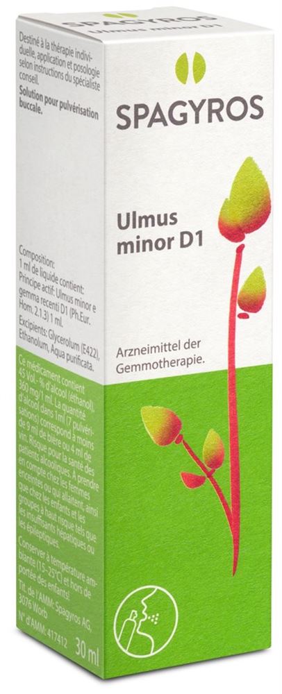 Spagyros Ulmus minor 1 D, Hauptbild