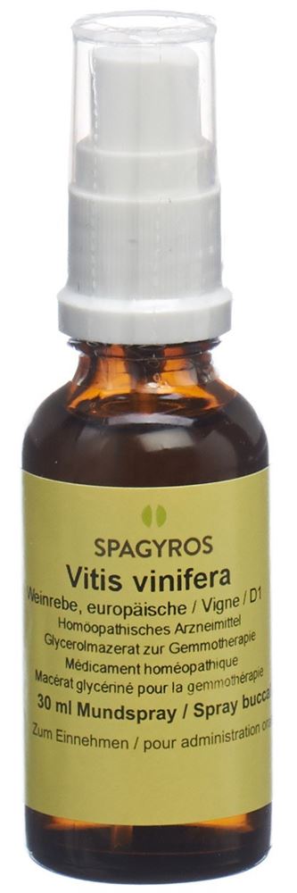 Spagyros vitis vinifera 1 D, image principale