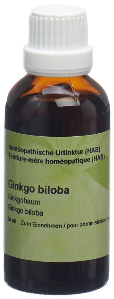 Spagyros Ginkgo biloba, Hauptbild