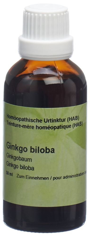 Spagyros Ginkgo biloba, Hauptbild