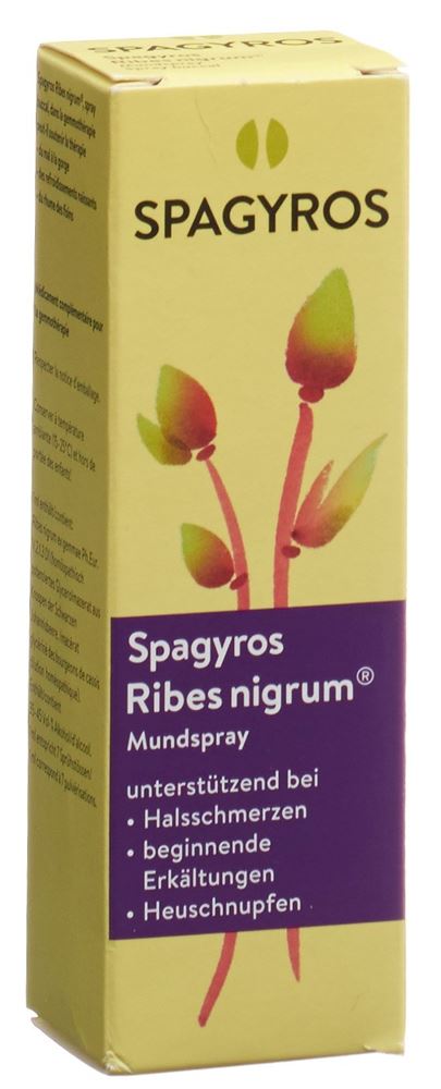 Spagyros Ribes nigrum Mundspray 1 D