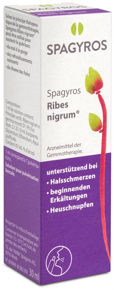 Spagyros ribes nigrum spray buccal 1 D