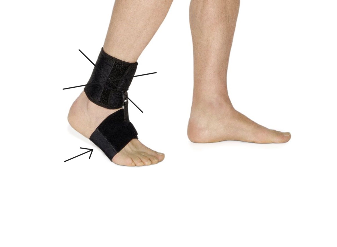 Sporlastic Foot Up Barfuss, Bild 2 von 2