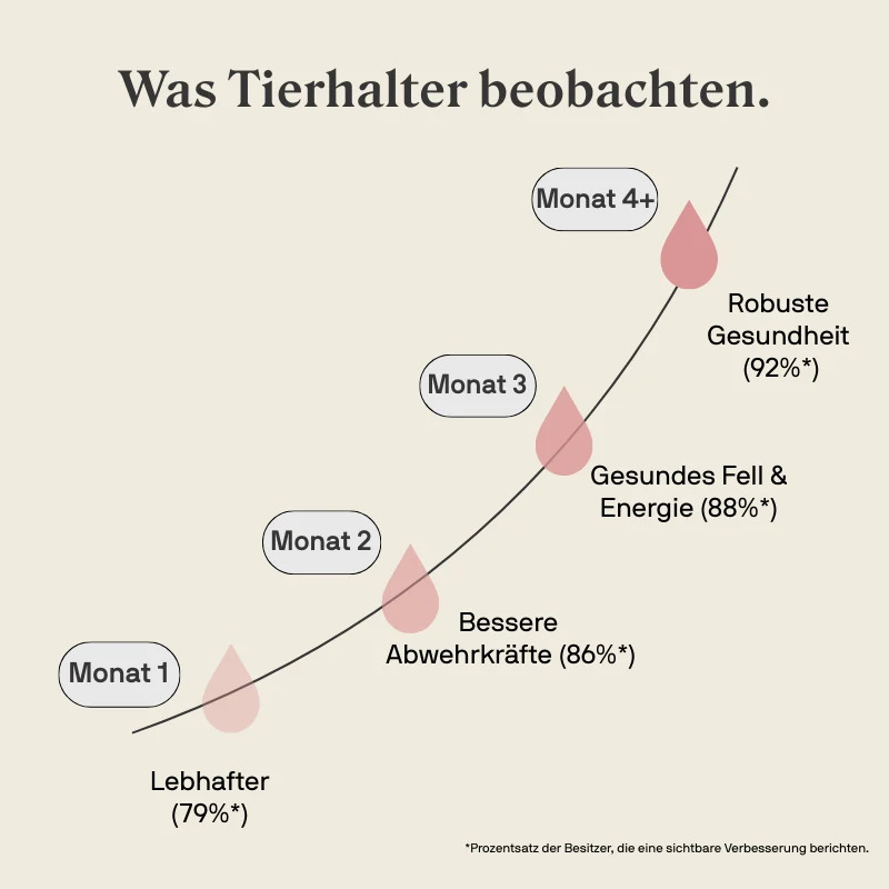 STYLLA Resilience für Hunde, Bild 2 von 5