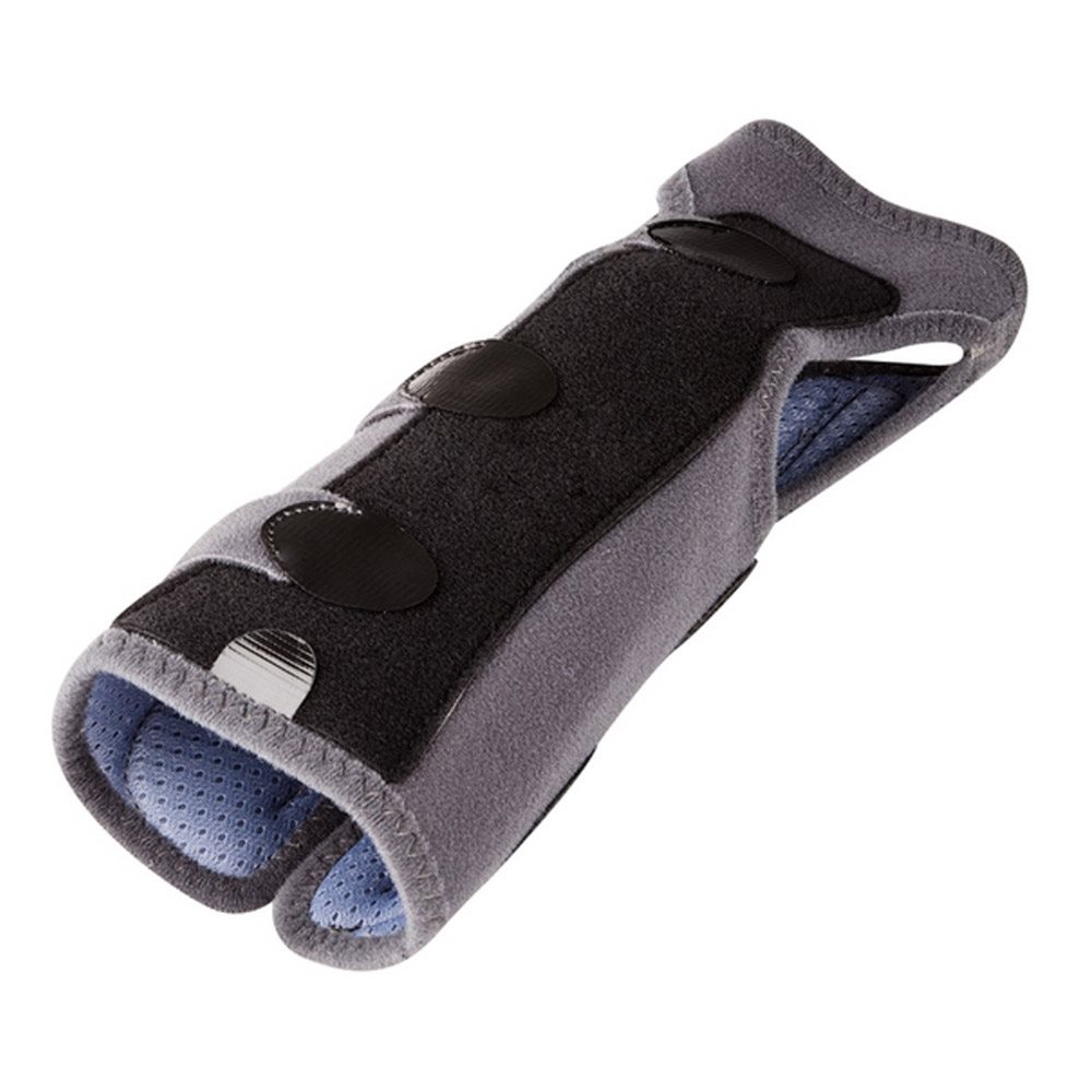 , immagine principale