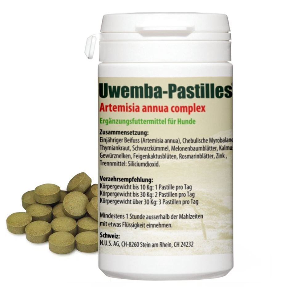 UWEMBA-PASTILLES Artemisia Complex – avec Artemisia annua (Armoise annuelle) 500 mg