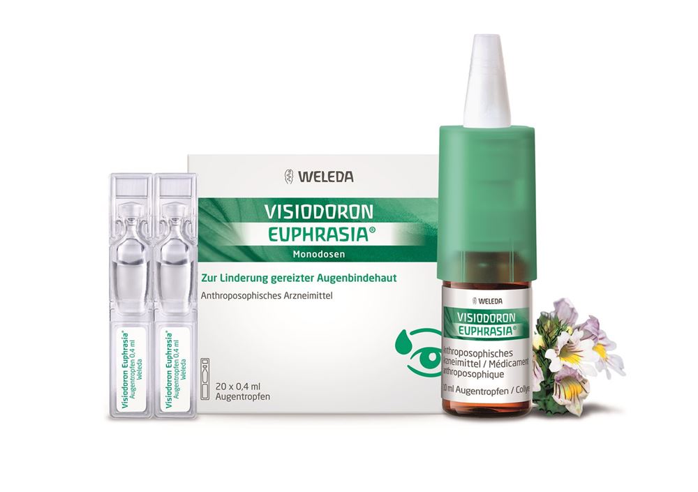 VISIODORON Gtt Opht Fl 10 ml, Bild 4 von 4