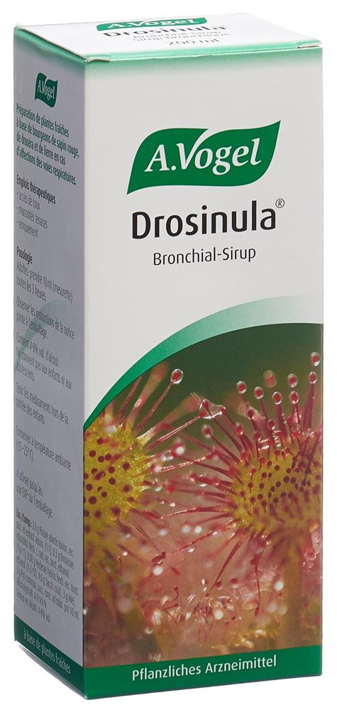 VOGEL Drosinula