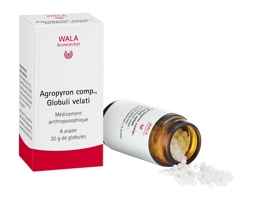 WALA agropyron comp., image 3 sur 4